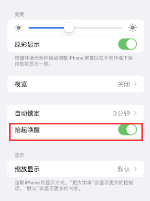 新蔡苹果授权维修站分享iPhone轻点无法唤醒怎么办