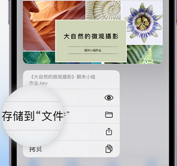 新蔡apple维修中心分享iPhone文件应用中存储和找到下载文件