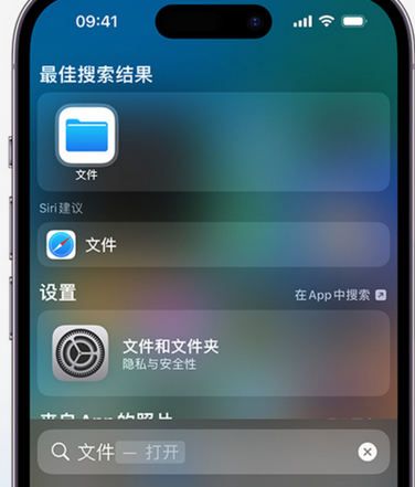 新蔡apple维修中心分享iPhone文件应用中存储和找到下载文件 