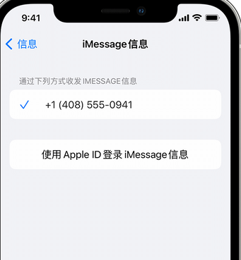 新蔡apple维修iPhone上无法正常发送iMessage信息 