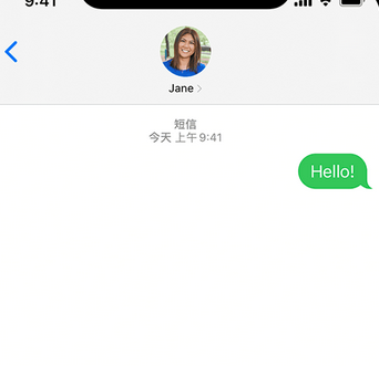 新蔡apple维修iPhone上无法正常发送iMessage信息