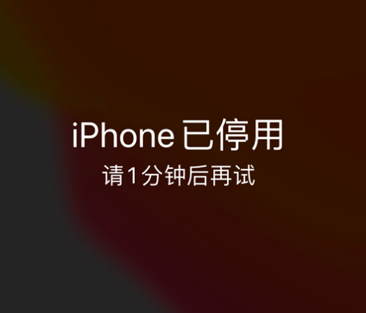 新蔡苹果手机维修分享:iPhone 显示“不可用”或“已停用”怎么办？还能保留数据吗？ 