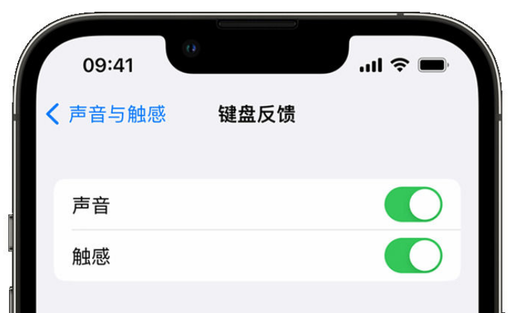 新蔡苹果手机维修分享iPhone 14触感键盘使用方法 