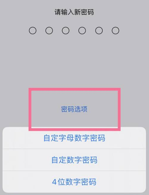 新蔡苹果14维修分享iPhone 14plus设置密码的方法 