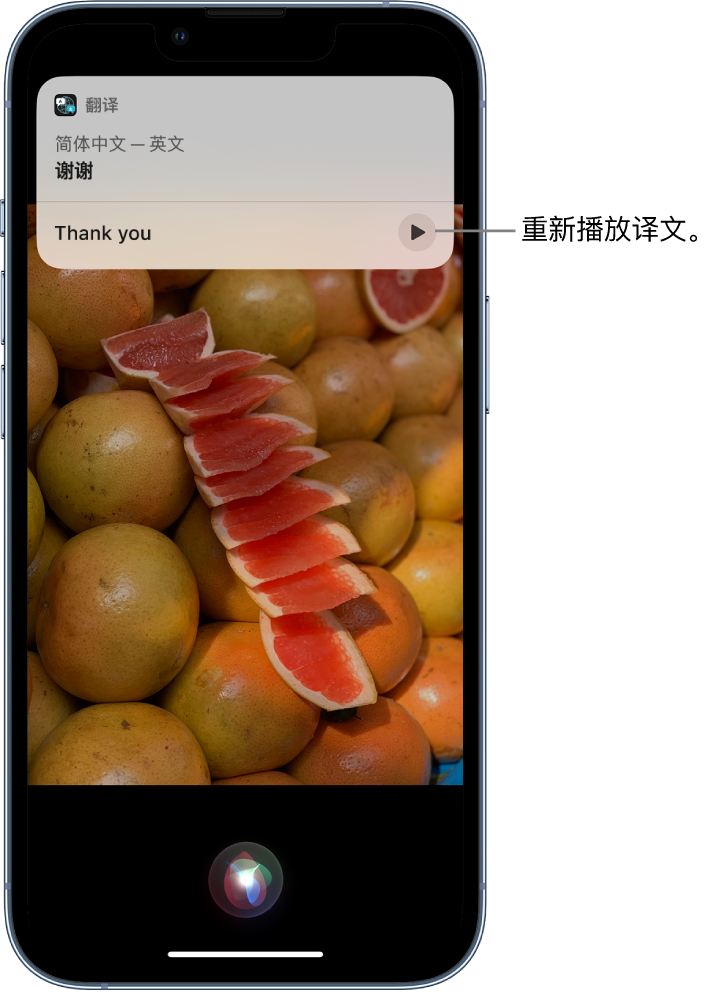 新蔡苹果14维修分享 iPhone 14 机型中使用 Siri：了解 Siri 能帮你做什么 