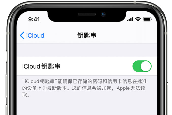 新蔡苹果手机维修分享在 iPhone 上开启 iCloud 钥匙串之后会储存哪些信息 