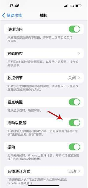 新蔡苹果手机维修分享iPhone手机如何设置摇一摇删除文字 