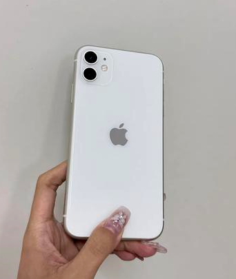 新蔡苹果维修点分享iPhone 11黑屏特殊场景解析 